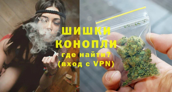 крисы Зерноград